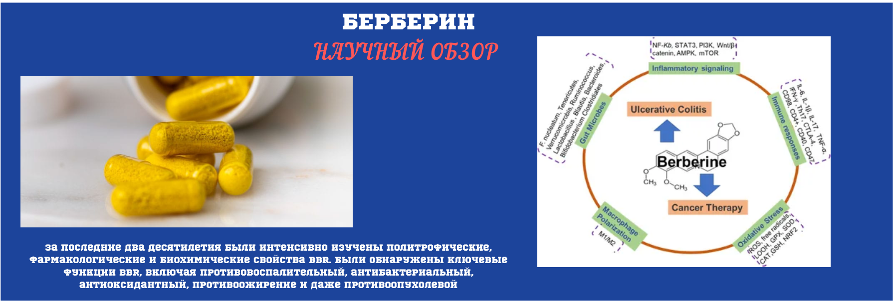 Видеоинструкция для регистрации пользователя 